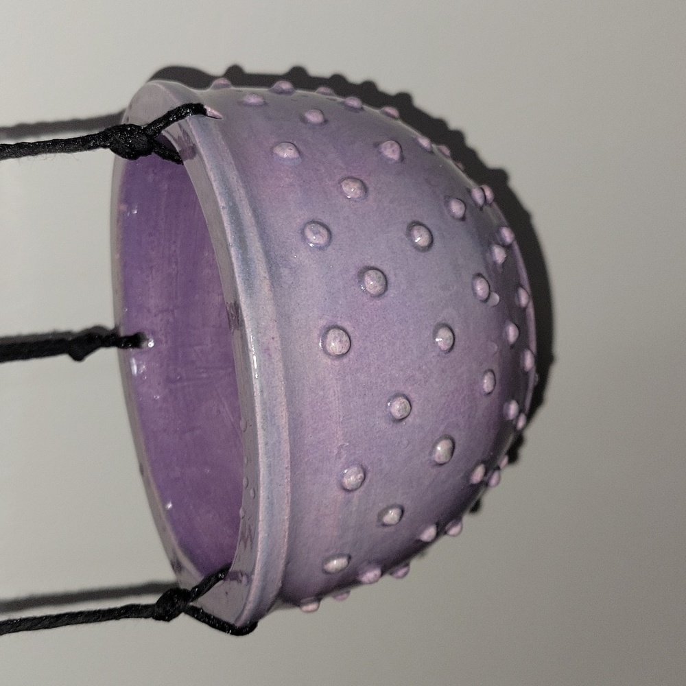 Hanging plant pot